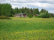 Secrets of Lappish Nature – Ukko-Luosto Fell 7
