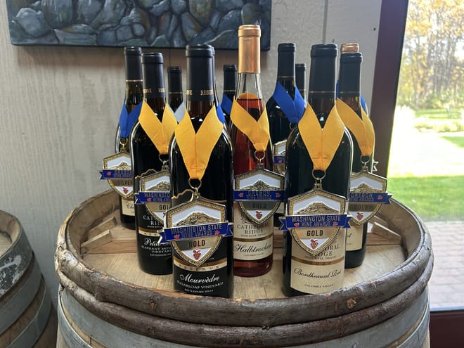 Waterfalls, Mt Hood, and Wine Tour  photo 3