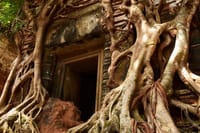 Pram Temple