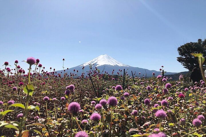 Mt Fuji with Kawaguchiko Lake Day Tour