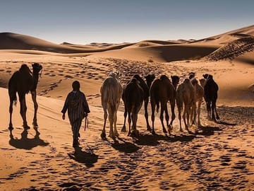 3-Day Merzouga Sahara Adventure Tour from Ouarzazate