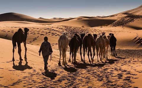3-Day Merzouga Sahara Adventure Tour from Ouarzazate