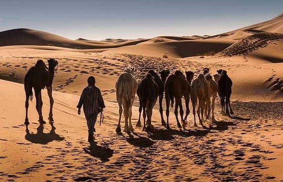 From Ouarzazate : 3-Day Merzouga Sahara Tour Option Ending in Fes