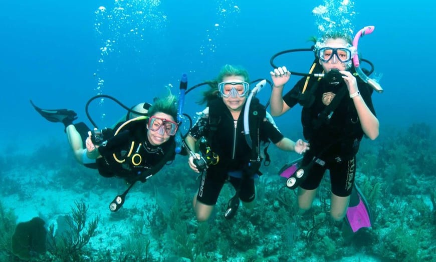 Dubai : Scuba Diving in Arabian Gulf Marine Life