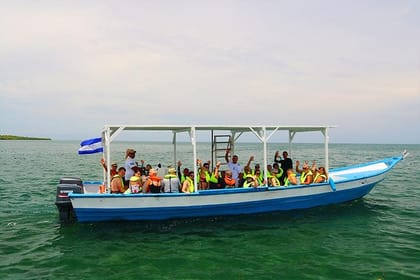 Roatan North Side Mangroves, Starfish, Shipwreck Snorkeling & Transportation