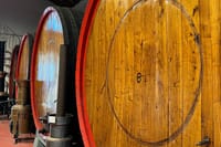 FullDay Super Cars, Parmesan, Balsamic Day Tour+Lunch 2