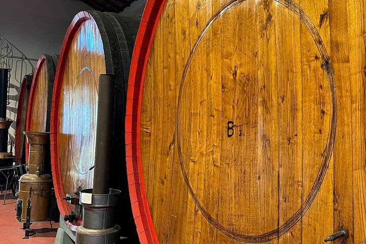 FullDay Super Cars, Parmesan, Balsamic Day Tour+Lunch 2