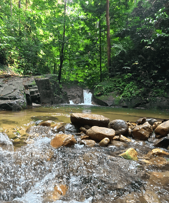 Clear stream flowing over rocks into a calm jungle pool with a small waterfall at Sungai Pisang in Gombak, Selangor.