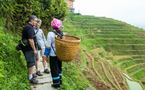Guilin 6-Day Nature and Sightseeing Tour with Local Guide