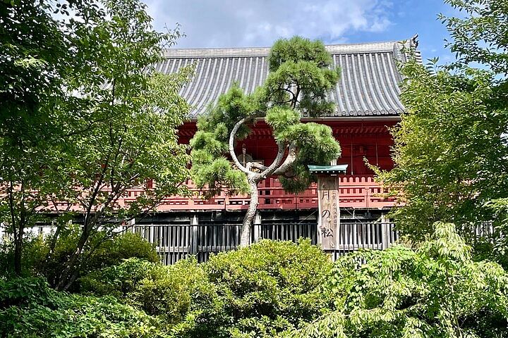 Tokyo National Museum and Ueno Ukiyo-e History Guided Tour