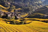 Longji terrace fields
