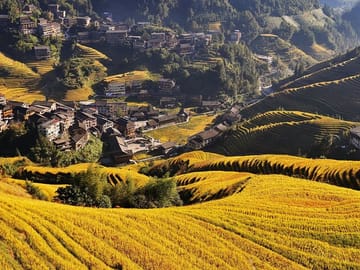 Longji terrace fields
