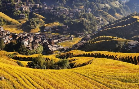 Longji Rice Terraces Dazhai Rice Terraces via ropeway Tour