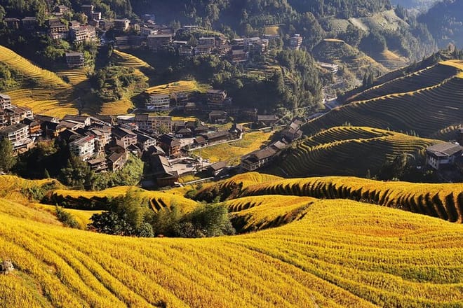 Longji terrace fields