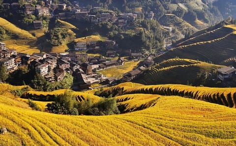 Longji Rice Terraces Tour with Scenic Ropeway in Guilin