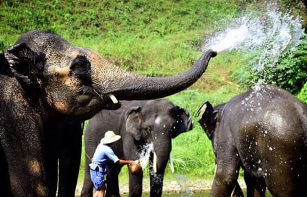 Cultural and Scenic Tour of Luang Prabang, Laos - 9 Days