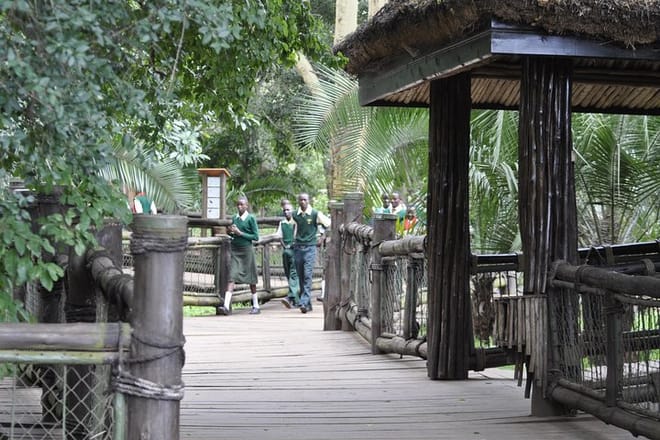 Tour Nairobi Safari Walk