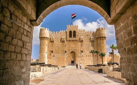 Alexandria Day Tour: Catacombs, Citadel & Library