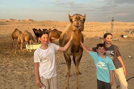 Multi day Tour Adventure from Dubai to Abu Dhabi