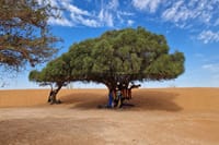 Agadir Jeep Safari & Sahara Adventure – Full-Day Tour with Tajine 7