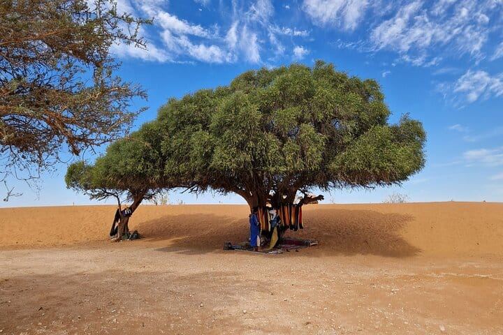 Agadir Jeep Safari & Sahara Adventure – Full-Day Tour with Tajine 7
