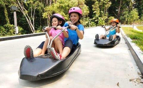Skyline Luge Adventure at Sentosa Island, Singapore