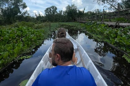 Explore Trasu Cajuput Forest