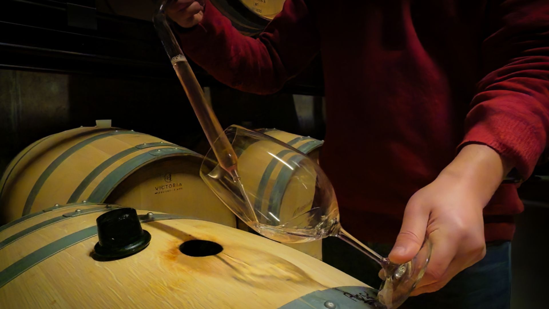 Image of a winemaker trying a white Douro Wine directly from the barrel on Cooltour Oporto's Douro Valley Wine Tour from Porto