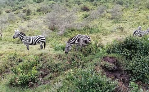 Hell’s Gate National Park Private Bike Tour from Nairobi