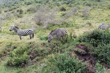 Hell’s Gate National Park Private Bike Tour from Nairobi