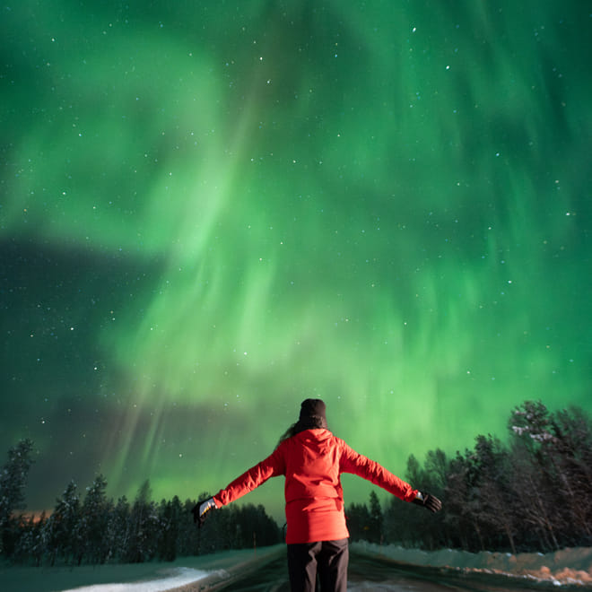 Rovaniemi: Insider Aurora Hunting