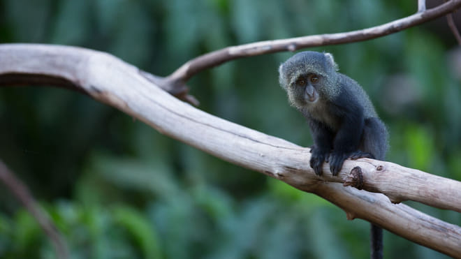 From Arusha: Day Trip to Lake Manyara National Park 10