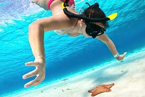 Columbia, Palancar & Cielo Cozumel Snorkel Tour