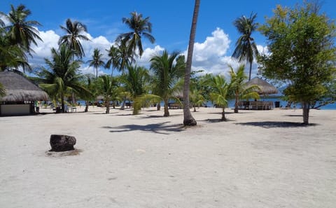 Puerto Princesa Palawan 4-Day Nature and Adventure Tour