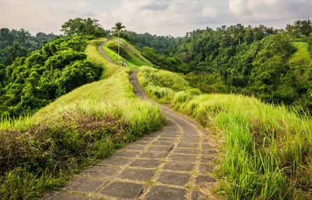 Ubud Cultural Day Tour with Campuhan Ridge Walk