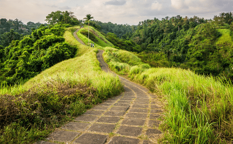 Ubud Cultural Day Tour with Campuhan Ridge Walk