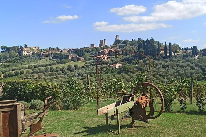 Siena–Pisa Scenic Transfer with San Gimignano Visit & Wine Lunch - Photo 5