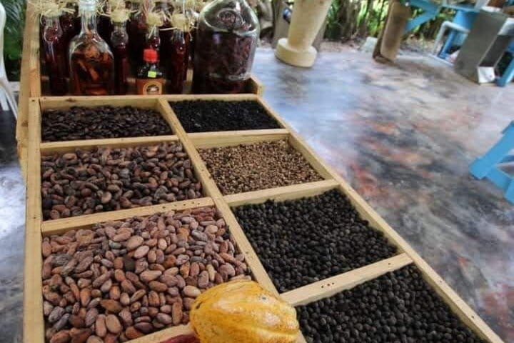 BUGGY & ATV # 1 Adventures IN PUNTACANA