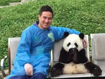 Chengdu Panda Research Base Tickets And Optional Private Tour