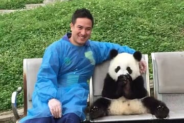 Chengdu Panda Research Base Entry and Private Tour Options