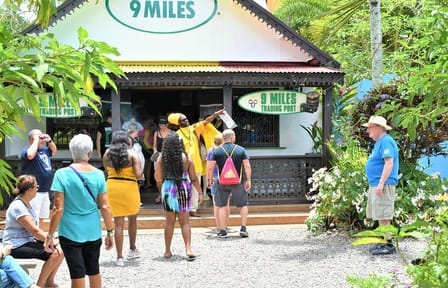 Private Bob Marley Tour to Nine Mile and Kingston from Falmouth