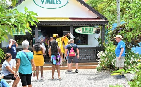 Private Bob Marley Tour to Nine Mile and Kingston from Falmouth