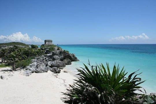 Tulum, Cenote and Playa del Carmen Tour from Cancun