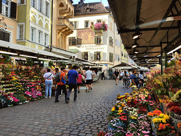 Discovering Bolzano