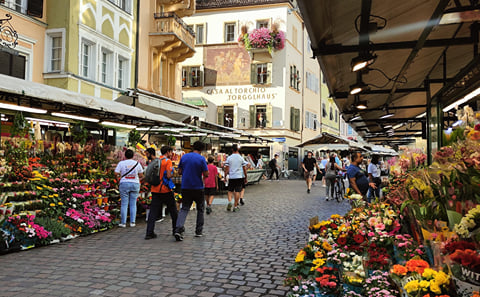 Discovering Bolzano