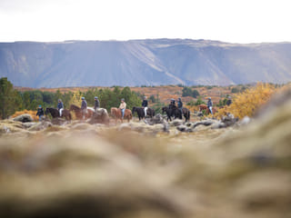 Lava Tour - Horseback Riding through the Lava Fields, photo 26