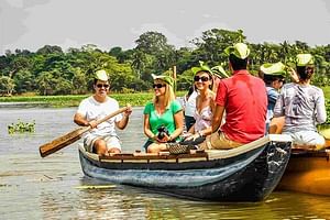 Sigiriya Village and Rock Fortress Private Tour from Sigiriya