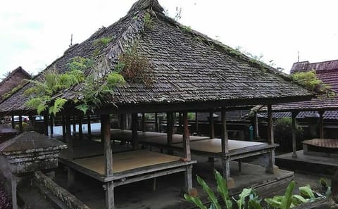 Sunrise and Waterfall Tour in Bangli and Kintamani