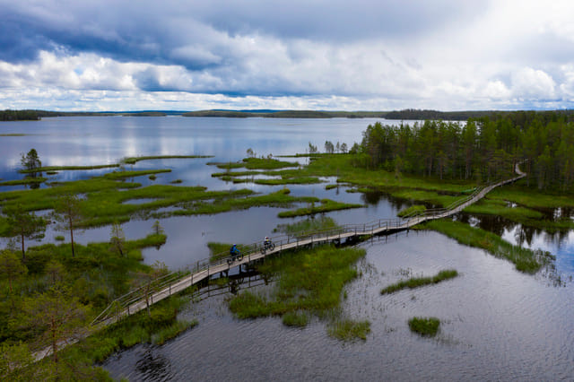 Hirsiniemi