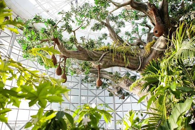 green planet tickets dubai